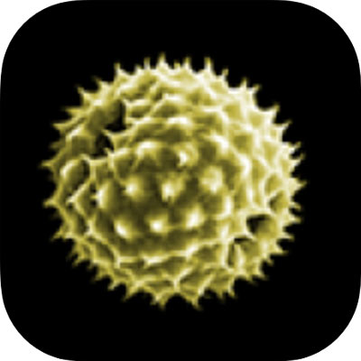 Aktuelle Pollensituation (Allergiezentrum Schweiz)